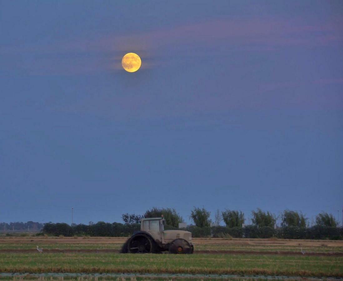 L' Espiga - Casa Rural Далтебра Екстер'єр фото